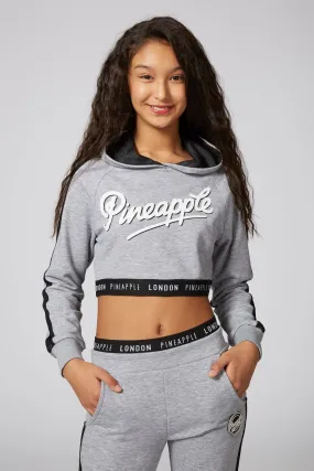 Mesh Stripe Crop Hoodie