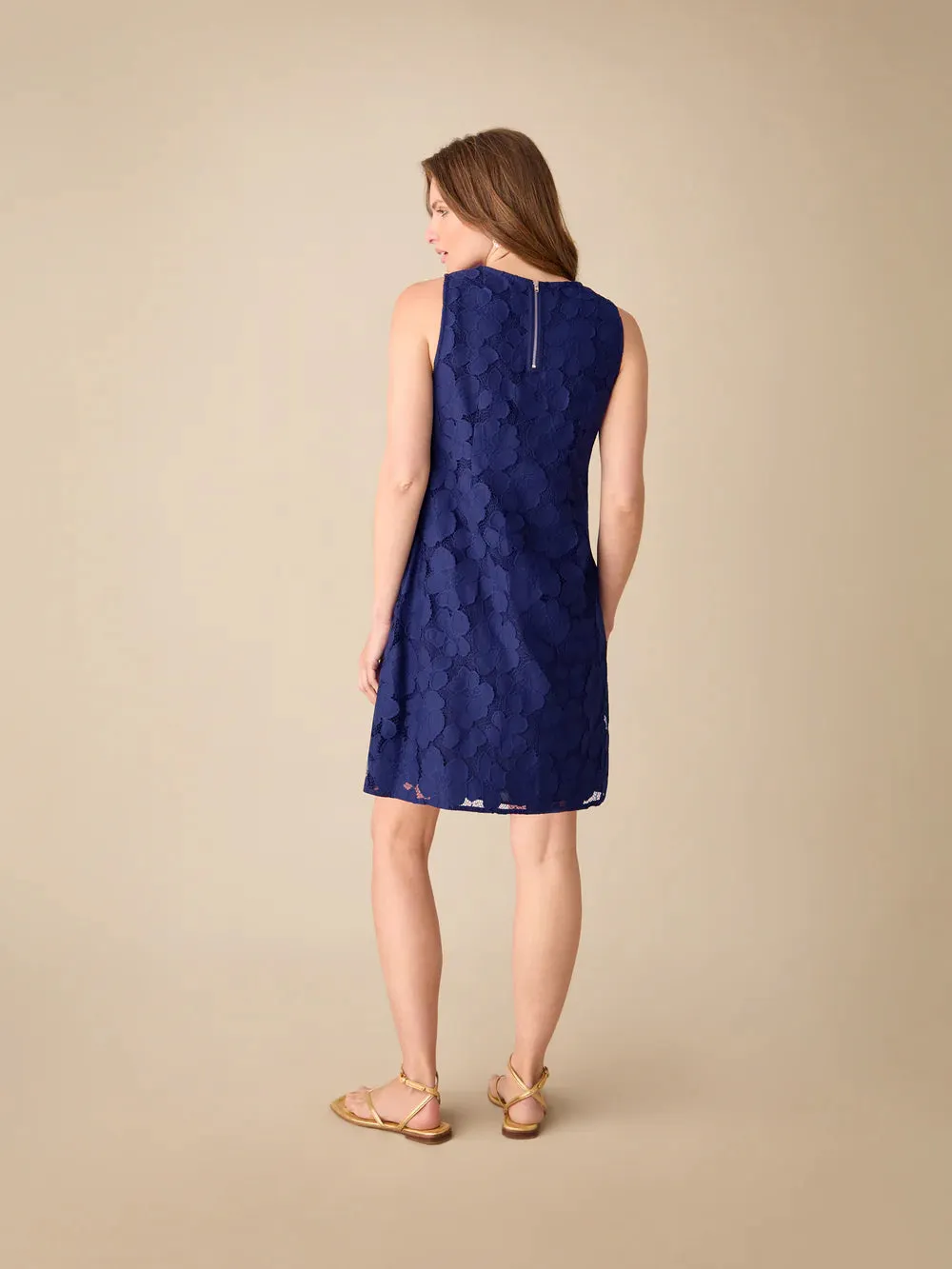 Petite Navy Lace Mini Shift Dress